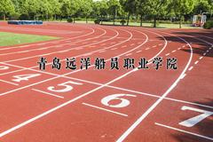 2024年青岛远洋船员职业学院招生章程，附办学层次和录取规则