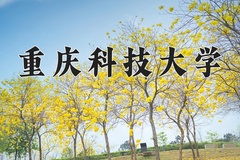 重庆科技大学近三年在宁夏录取分数线(含2021-2023最低分)