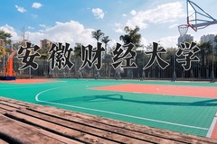 安徽财经大学近三年在宁夏录取分数线(含2021-2023最低分)