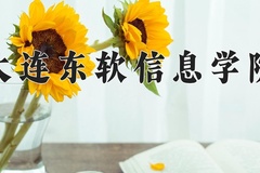 2024年大连东软信息学院招生章程，附办学层次和录取规则