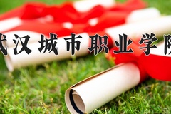 武汉城市职业学院近三年在青海录取分数线(含2021-2023最低分)