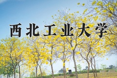 西北工业大学近三年在青海录取分数线(含2021-2023最低分)