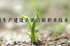 新疆生产建设兵团兴新职业技术学院近三年在内蒙古录取分数线(含2021-2023最低分)