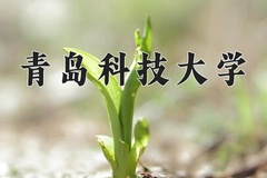 青岛科技大学近三年在宁夏录取分数线(含2021-2023最低分)