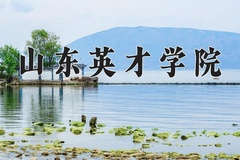 山东英才学院近三年在青海录取分数线(含2021-2023最低分)
