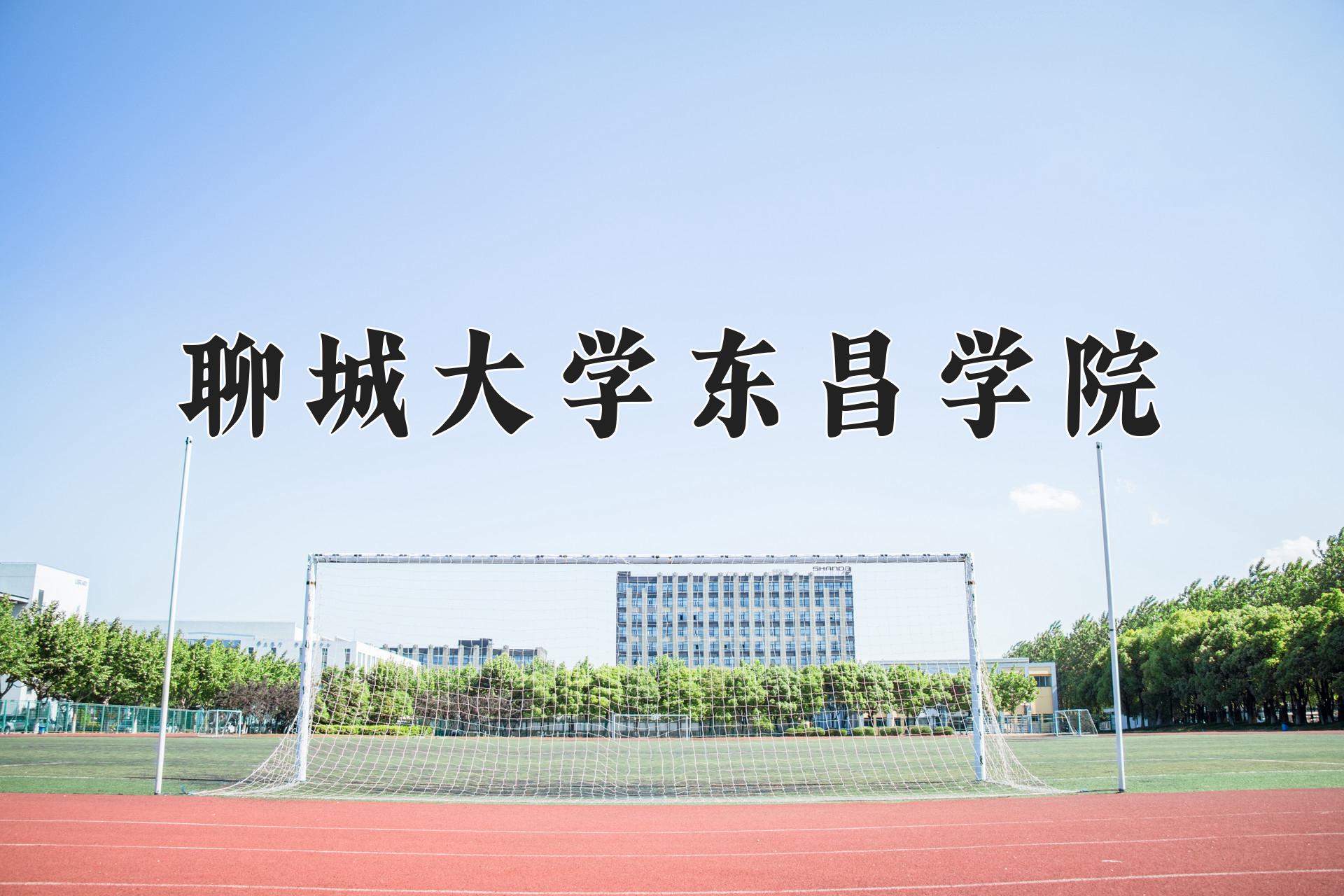 聊城大学东昌学院