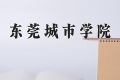 2024年东莞城市学院招生章程，附办学层次和录取规则