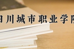 2024年四川城市职业学院招生章程，附办学层次和录取规则