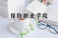 保险职业学院近三年在宁夏录取分数线(含2021-2023最低分)