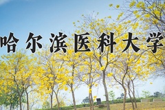 哈尔滨医科大学近三年在宁夏录取分数线(含2021-2023最低分)