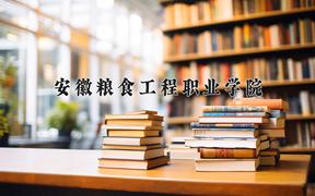 2024年安徽粮食工程职业学院招生章程，附办学层次和录取规则