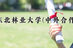 东北林业大学(中外合作)近三年在内蒙古录取分数线(含2021-2023最低分)