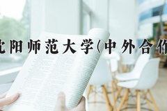 沈阳师范大学(中外合作)近三年在内蒙古录取分数线(含2021-2023最低分)