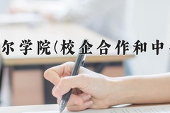 呼伦贝尔学院(校企合作和中外合作)近三年在内蒙古录取分数线(含2021-2023最低分)