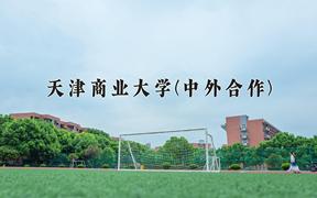 天津商业大学(中外合作)近三年在内蒙古录取分数线(含2021-2023最低分)