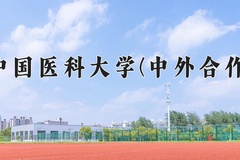 中国医科大学(中外合作)近三年在内蒙古录取分数线(含2021-2023最低分)