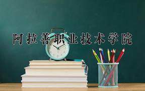 2024年阿拉善职业技术学院招生章程，附办学层次和录取规则