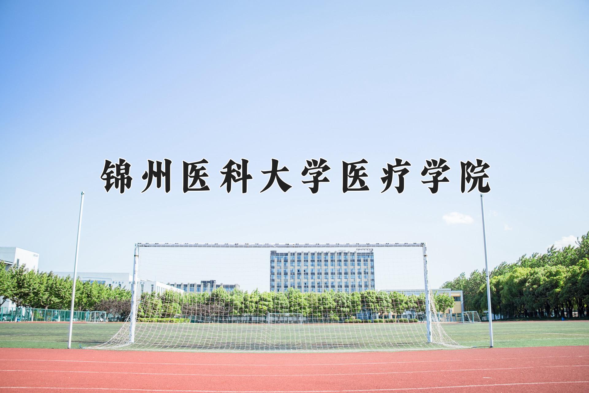 锦州医科大学医疗学院