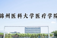 2024年锦州医科大学医疗学院招生章程，附办学层次和录取规则