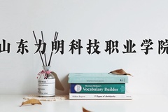 山东力明科技职业学院近三年在内蒙古录取分数线(含2021-2023最低分)