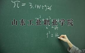 2024年山东工业职业学院招生章程，附办学层次和录取规则