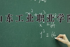 2024年山东工业职业学院招生章程，附办学层次和录取规则