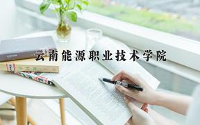 2024年云南能源职业技术学院招生章程，附办学层次和录取规则