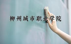 2024年柳州城市职业学院招生章程，附办学层次和录取规则