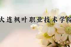 大连枫叶职业技术学院近三年在宁夏录取分数线(含2021-2023最低分)