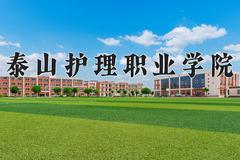 2024年泰山护理职业学院招生章程，附办学层次和录取规则