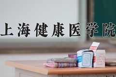 上海健康医学院近三年在宁夏录取分数线(含2021-2023最低分)