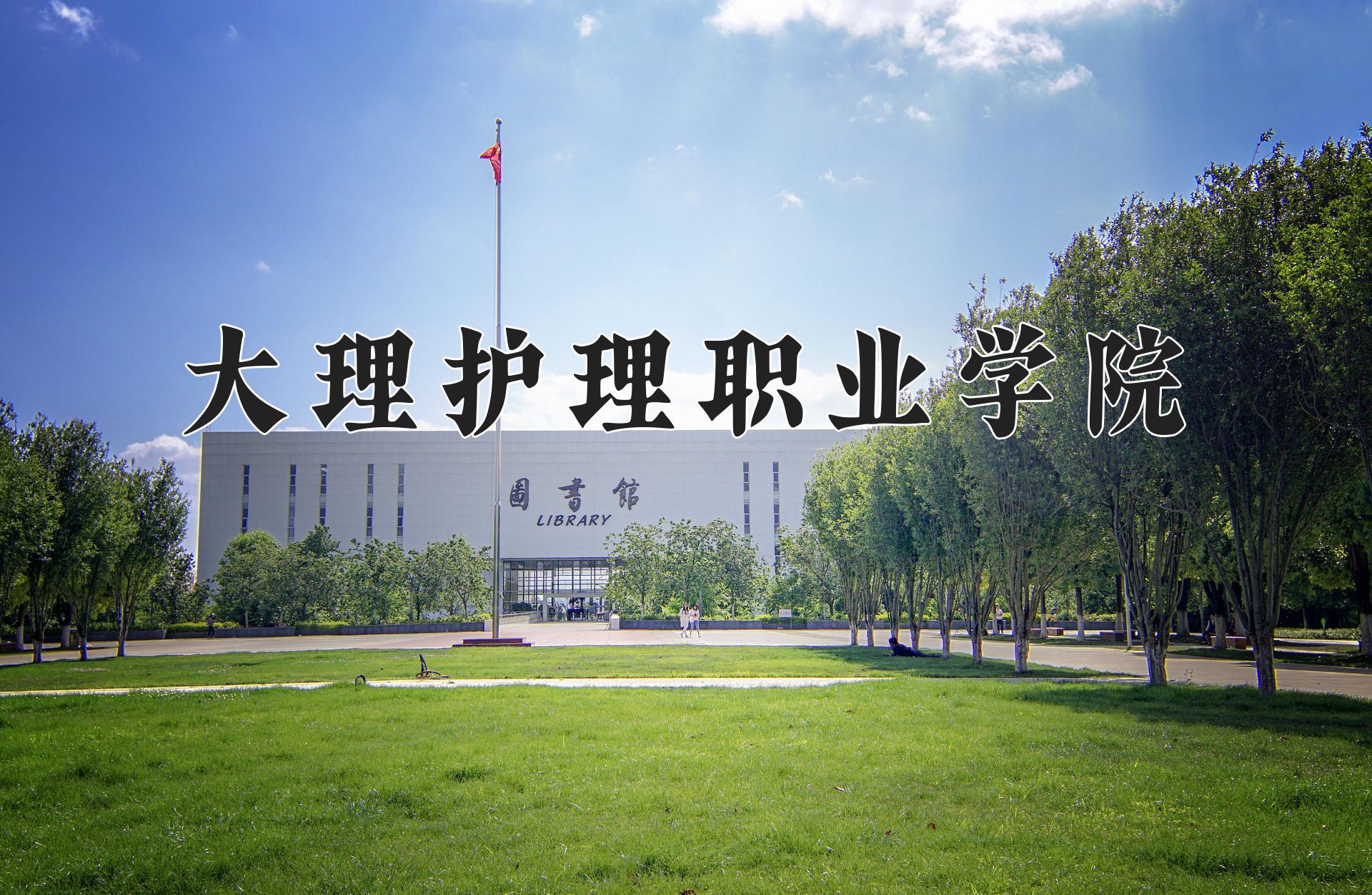 大理护理职业学院