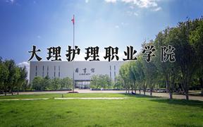 2024年大理护理职业学院招生章程，附办学层次和录取规则