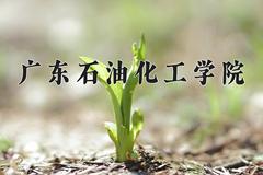 广东石油化工学院近三年在内蒙古录取分数线(含2021-2023最低分)