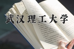 武汉理工大学近三年在宁夏录取分数线(含2021-2023最低分)