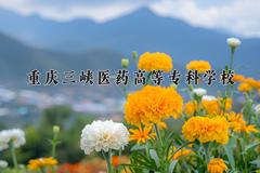 重庆三峡医药高等专科学校近三年在青海录取分数线(含2021-2023最低分)