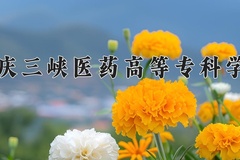 重庆三峡医药高等专科学校近三年在青海录取分数线(含2021-2023最低分)