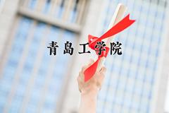 青岛工学院近三年在青海录取分数线(含2021-2023最低分)