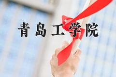 青岛工学院近三年在青海录取分数线(含2021-2023最低分)