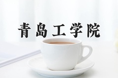 青岛工学院近三年在内蒙古录取分数线(含2021-2023最低分)