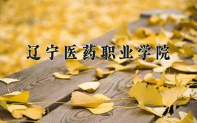 辽宁医药职业学院近三年在内蒙古录取分数线(含2021-2023最低分)