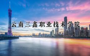 2024年云南三鑫职业技术学院招生章程，附办学层次和录取规则