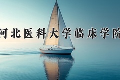 河北医科大学临床学院近三年在宁夏录取分数线(含2021-2023最低分)