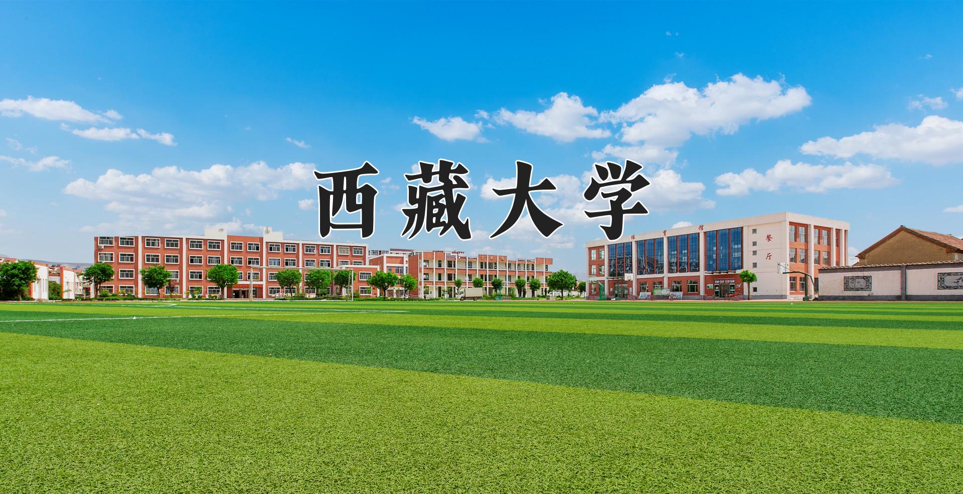 西藏大学