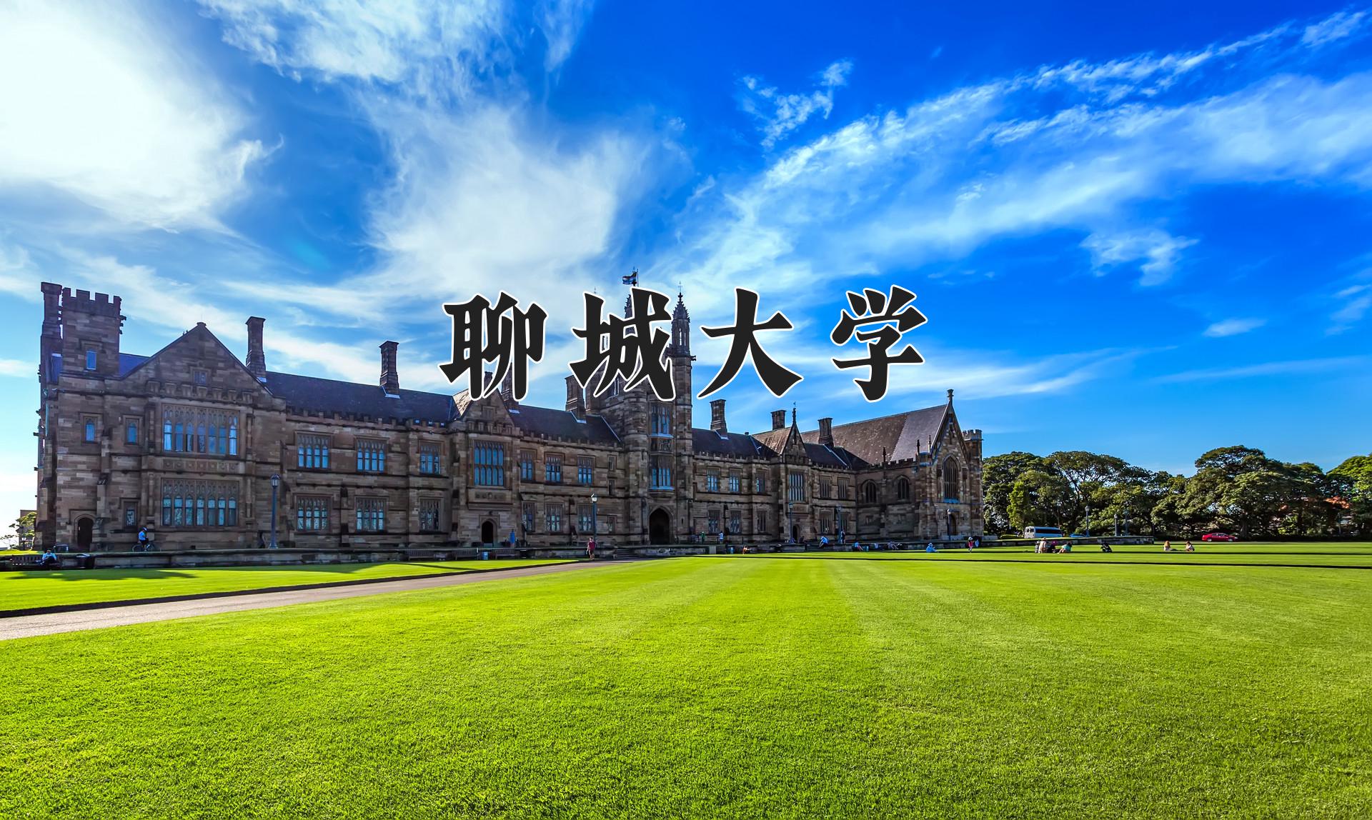 聊城大学