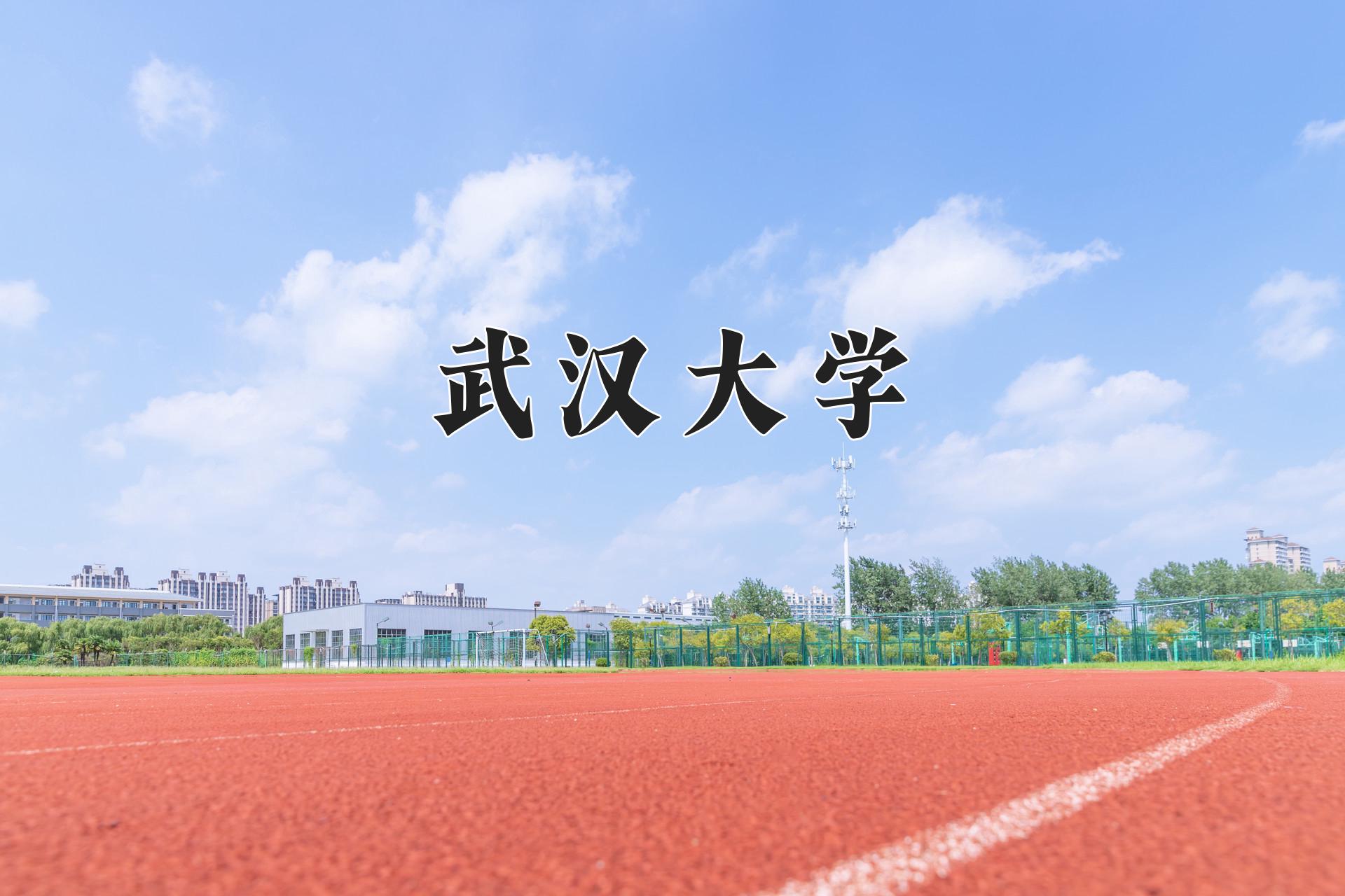 武汉大学