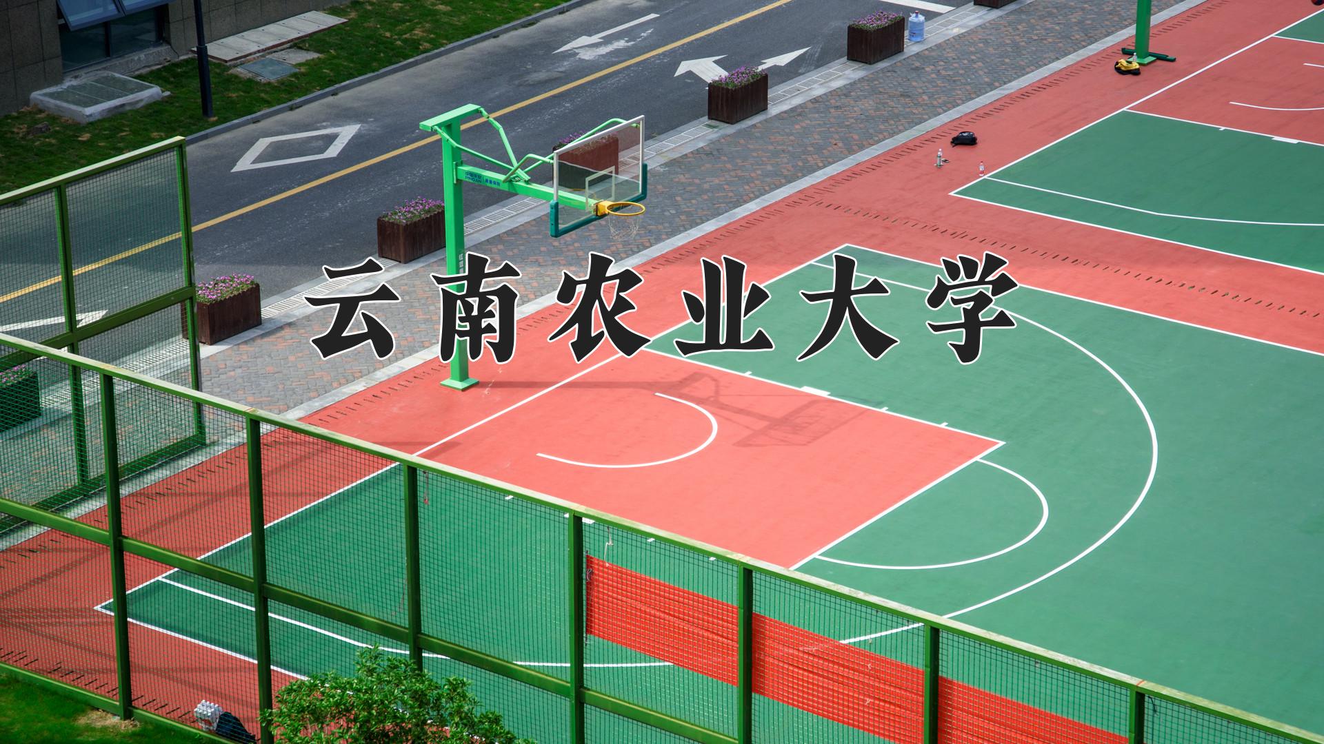 云南农业大学