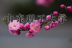 山东理工大学王牌专业有哪些？附2024最新王牌专业排名一览表