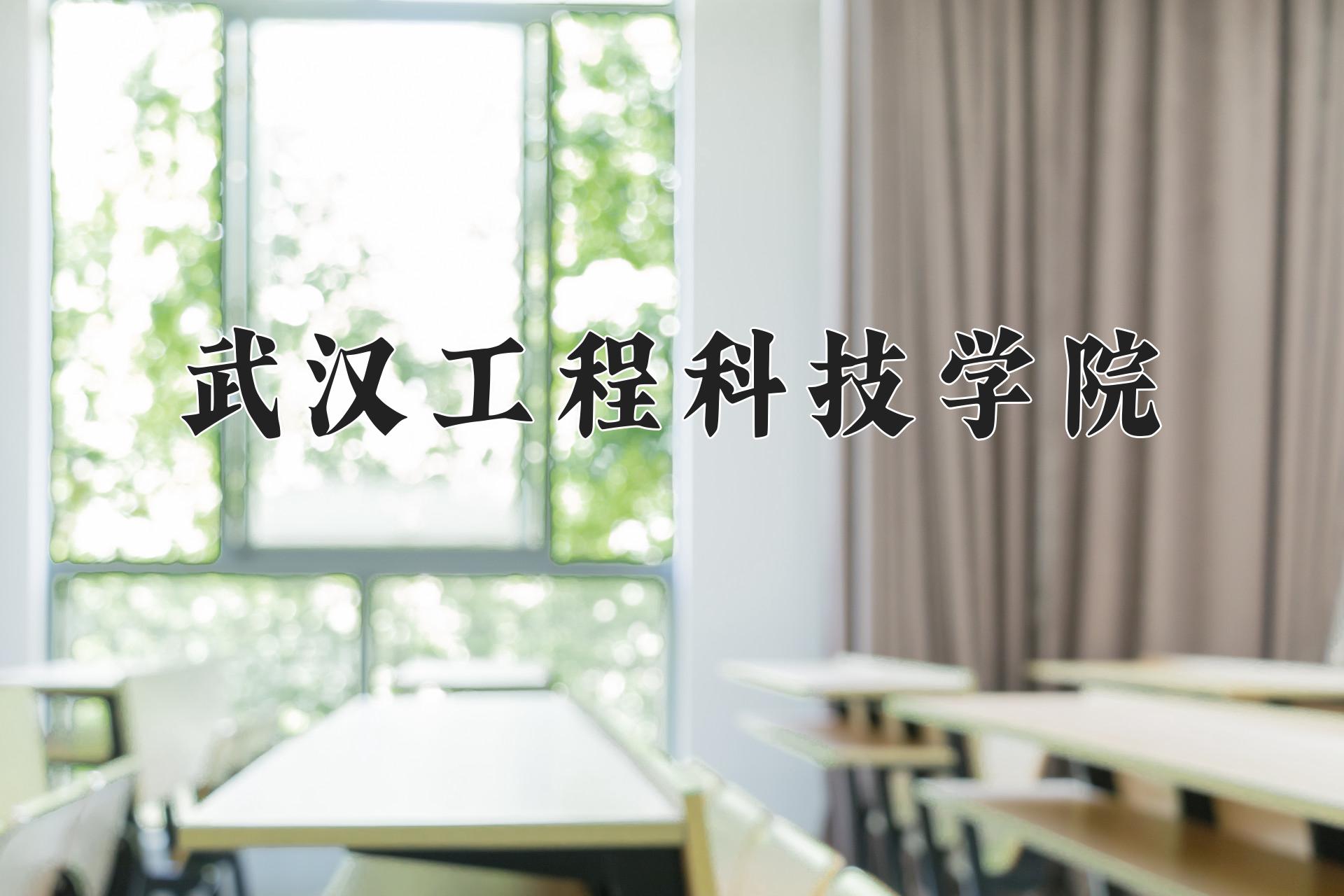 武汉工程科技学院