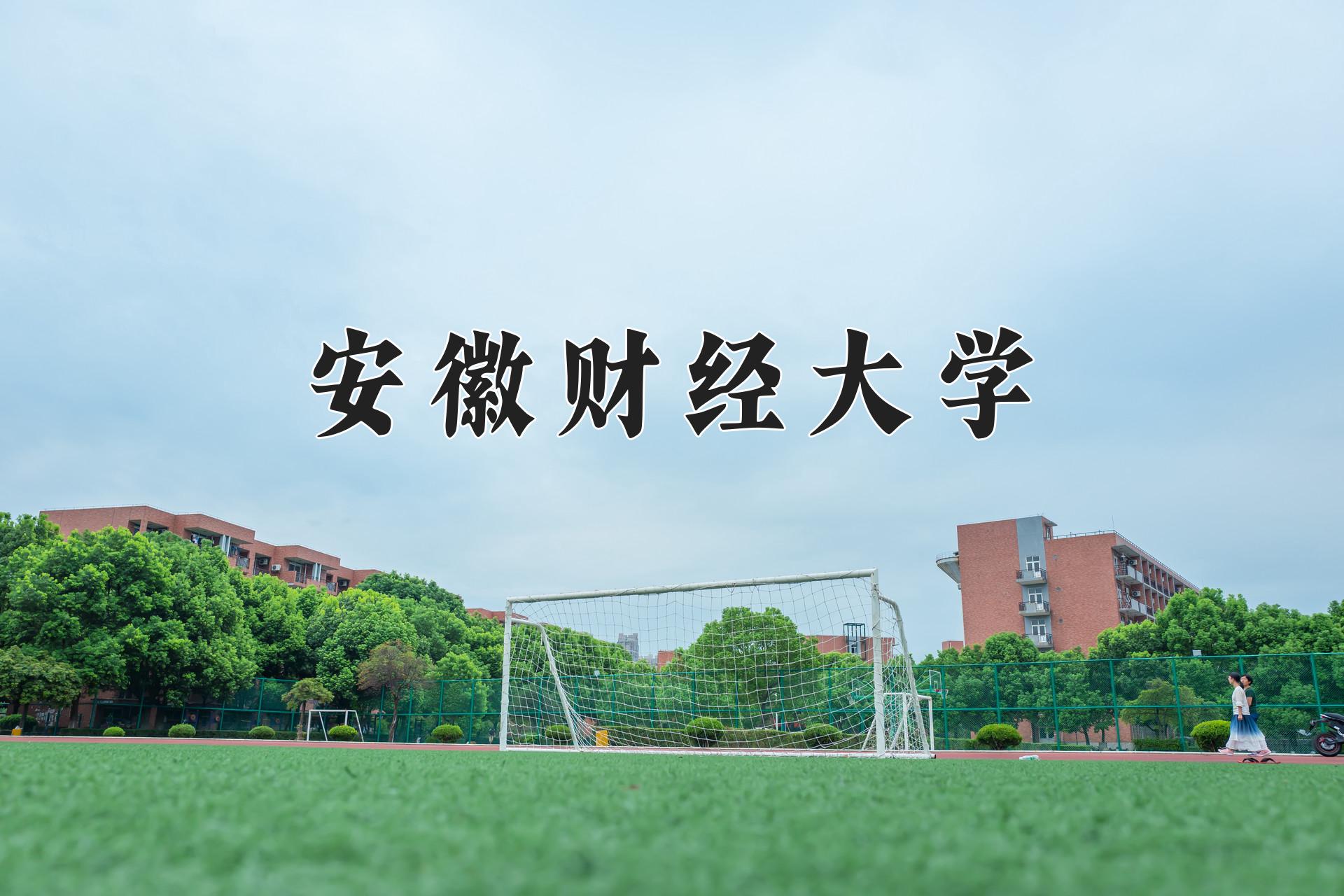 安徽财经大学